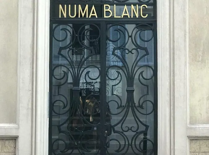 Numa Blanc 300 M Palais Des Festivals *