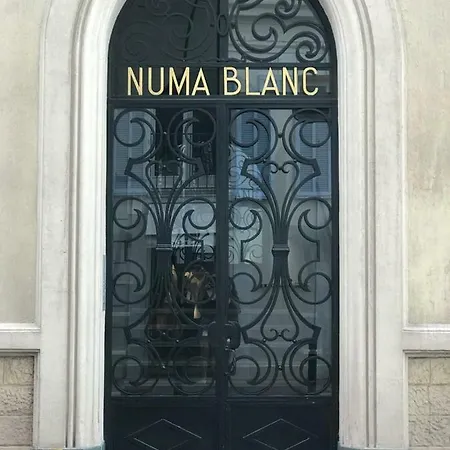 Numa Blanc 300 M Palais Des Festivals *